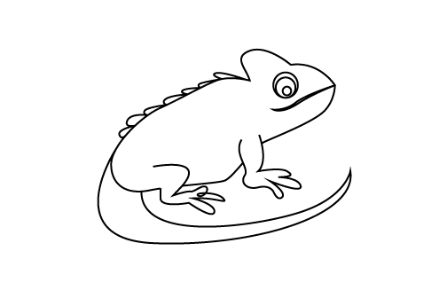 Chameleon Brief
